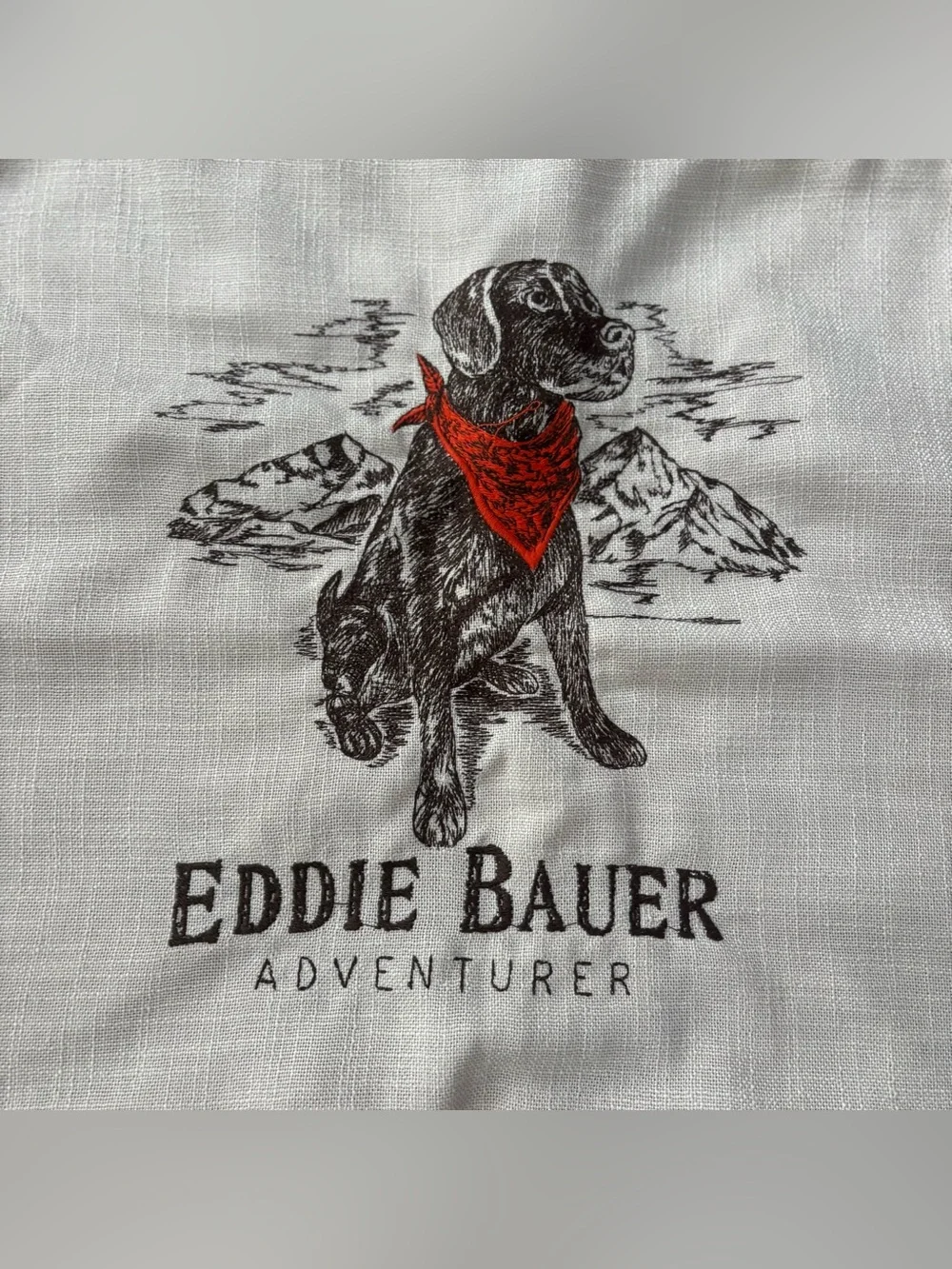 Retro Eddie Bauer decorative dog pillow 🐶